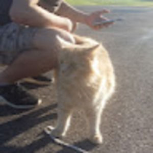 Meet your Posher, Minjae